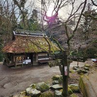  at Mizuya Chaya 水谷茶屋 in Nara