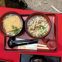 Fried tofu and mushroom udon noodles  at Mizuya Chaya 水谷茶屋 in Nara