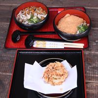 Mushroom udon, fried tofu udon, vegetable tempura side   at Mizuya Chaya 水谷茶屋 in Nara