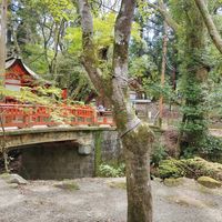 View from outside seating area at Mizuya Chaya 水谷茶屋 in Nara