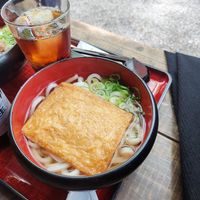 Udon with Tofu at Mizuya Chaya 水谷茶屋 in Nara
