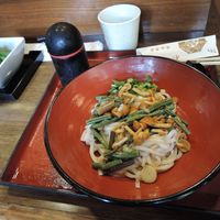 Edible wild plants cold udon at Mizuya Chaya 水谷茶屋 in Nara
