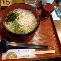 Udon with tempura bits (vegetarian ) at Mizuya Chaya 水谷茶屋 in Nara
