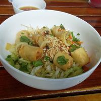 Spring Rolls and noodle salad at Viet Fresh Noodles in Cairns