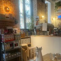  at Plantate Cafe in Madrid