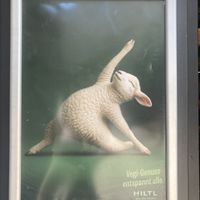   at HILTL - Sihlstrasse in Zurich