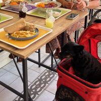   at Vegan a la Turca in Bodrum