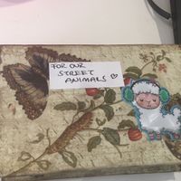 They take the street animals to the vet and your donations help  at Vegan a la Turca in Bodrum