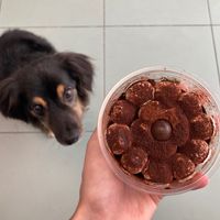 Tiramisù (and a little envious guy!) at Radagast Vegan Bakery in Rome