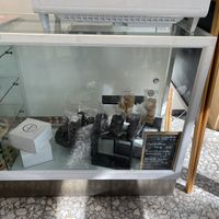   at Radagast Vegan Bakery in Rome