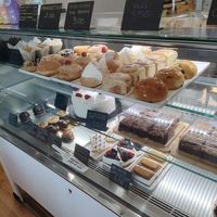  at Radagast Vegan Bakery in Rome