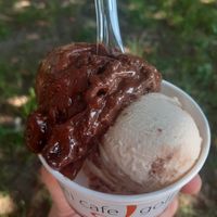 Hazelnut and sacher (half-half) at Mini Cafe Golf in Ljubljana