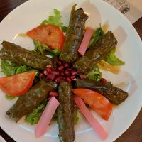 Dolma at Mazaya Falafel - Starowiślna in Krakow