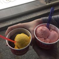 Some of their vegan options- see review ps they’re good at Lody z Lodziarni - Delikatesy Smaki Polski in Krakow