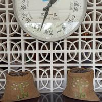  at LN Fortunate Coffee - Maybe closed in Denpasar