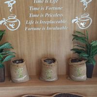  at LN Fortunate Coffee - Maybe closed in Denpasar