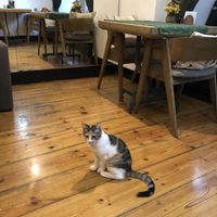 ❤️  at Manipura Ethic Cafe & Bar in Baku