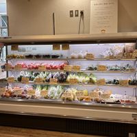   at Natural Harmony Coa in Yokohama