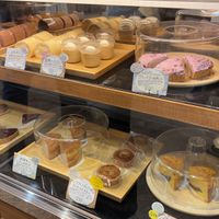   at Natural Harmony Coa in Yokohama