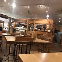 Interior (also a semi-upstairs area behind) at Natural Harmony Coa in Yokohama