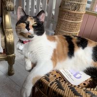   at Kattakaffihusid in Reykjavik