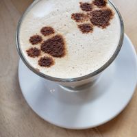 Chai latte at Kattakaffihusid in Reykjavik