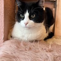 Max so serious    at Kattakaffihusid in Reykjavik