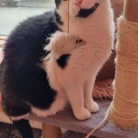  at Kattakaffihusid in Reykjavik