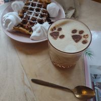  at Kattakaffihusid in Reykjavik