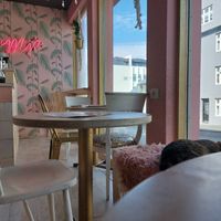  at Kattakaffihusid in Reykjavik