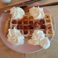  at Kattakaffihusid in Reykjavik