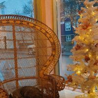  at Kattakaffihusid in Reykjavik