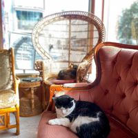   at Kattakaffihusid in Reykjavik