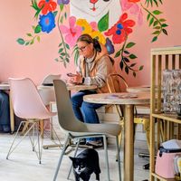 😻 at Kattakaffihusid in Reykjavik