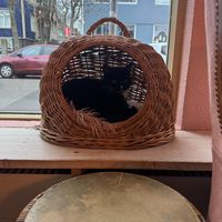   at Kattakaffihusid in Reykjavik