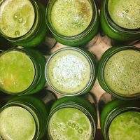 Apple, Lime, and Wheatgrass Juice at Hub City Permaculture -The Kimchi Dude in Hagerstown