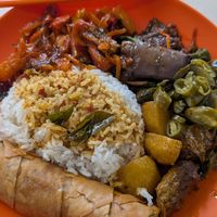 Rice, veggies, mock meat curry and spring roll at Tian En Vegetarian 天恩齋 in Central Singapore