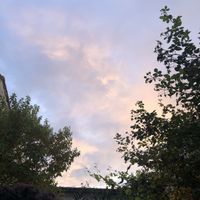 Beautiful outdoors place   at Le Comptoir des Utopies in Saintes