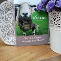 The staffs rescue pet sheep Gerry. at Vegano - Food Truck in Newcastle Upon Tyne