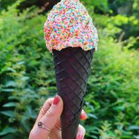   at De Eekhoorn in Rotterdam