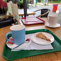 Vegan chocolademelk en hertenkamp koek at De Eekhoorn in Rotterdam