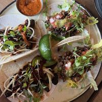   at Picaro in Saskatoon