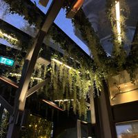 Beautiful patio   at Anh and Chi in Vancouver