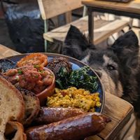 Reka liked the English breakfast as well :-) at Love Shack in East London