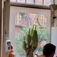 "" at The Olive Tree in Bruges