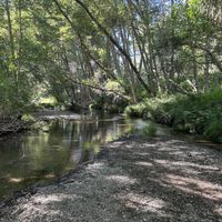 Creek  at Mandala Springs Retreat in Cobb