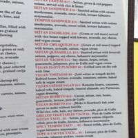 Extensive vegan menue  at Haab - Park Williamsburg in Brooklyn