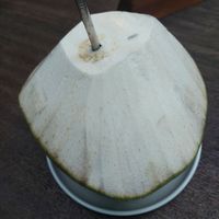 Coconut at LOKA in Kuta