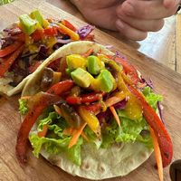 Mango Mushroom tacos at LOKA in Kuta