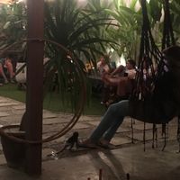 Baby monkey dressed in a nappy :( at LOKA in Kuta